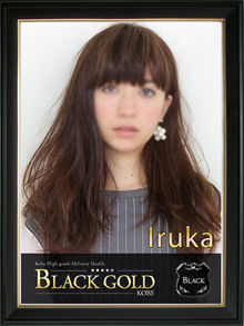 Black Gold Kobeのフードル「いるか」